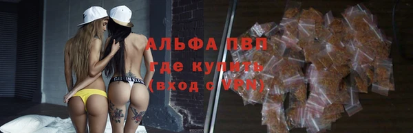 крисы Абаза