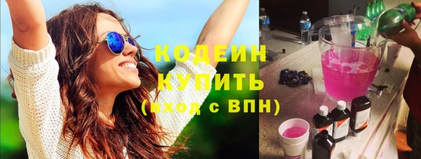 крисы Абаза