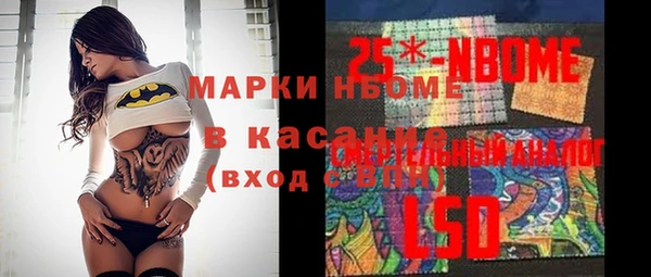крисы Абаза